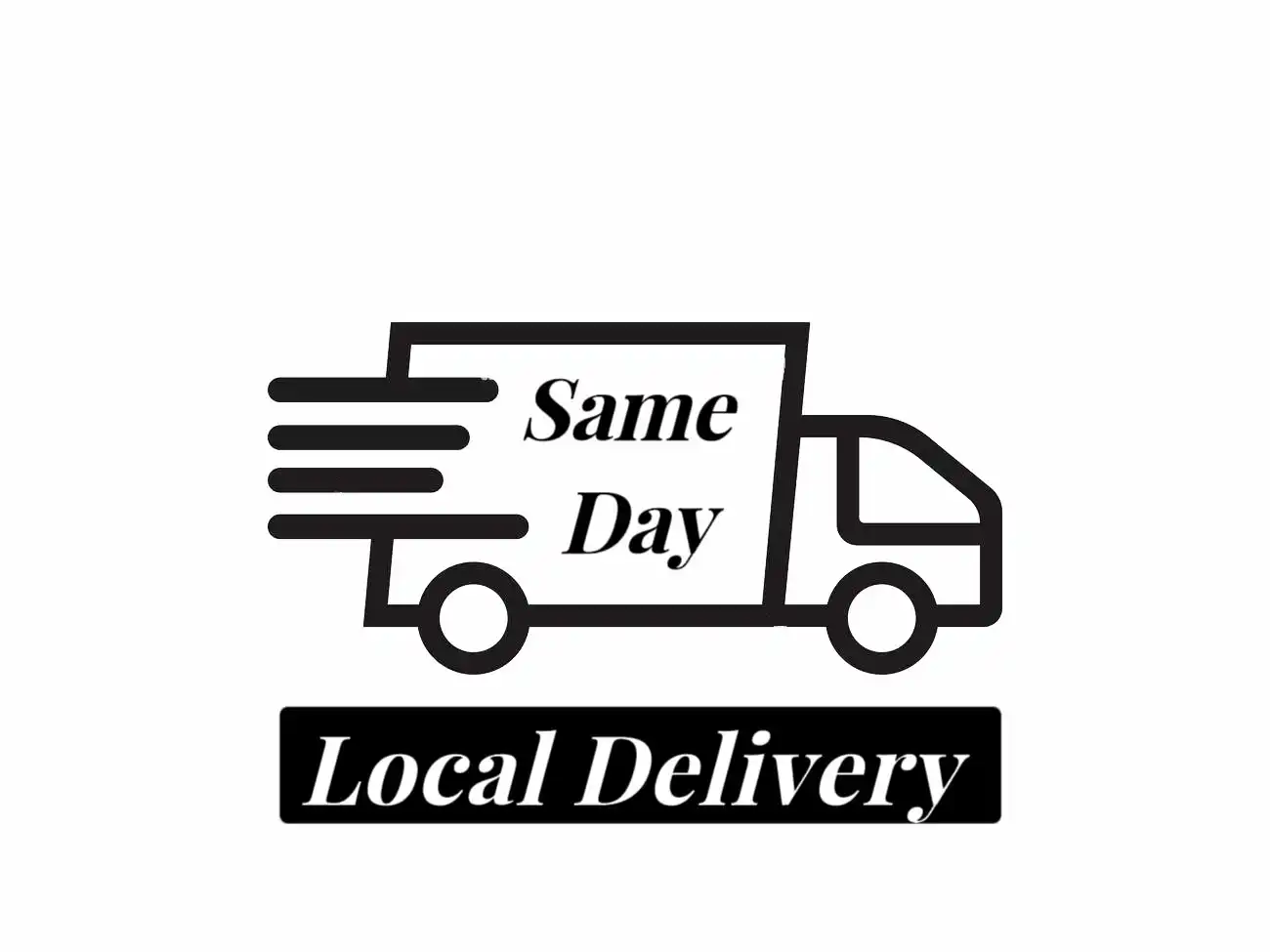 same-day-deliver-to-south-bay